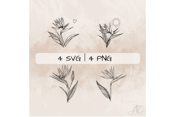 Download Bird of Paradise SVG Bundle - Bird of paradise Collection