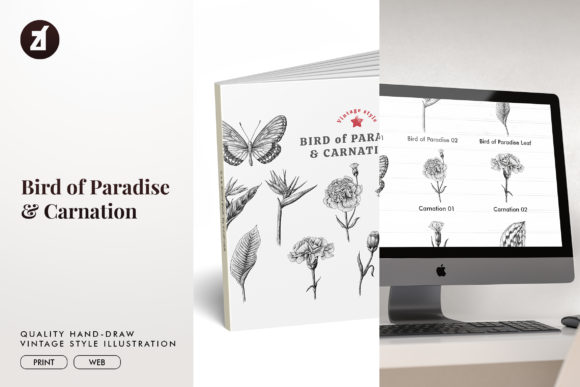 Download Bird of Paradise &amp; Carnation Vintage - Bird of paradise Collection