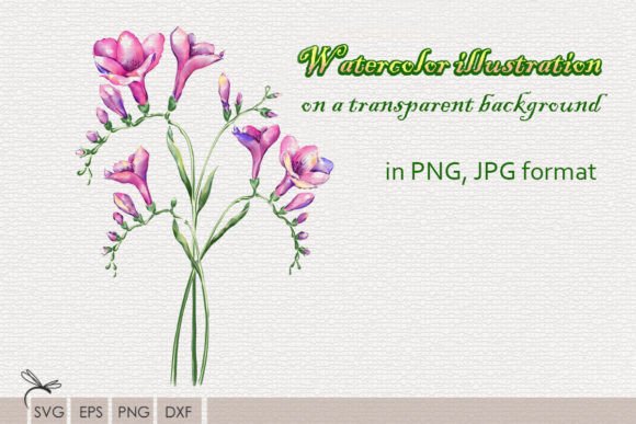 Download Watercolor Illustrations Wildflowers - Premium Resources