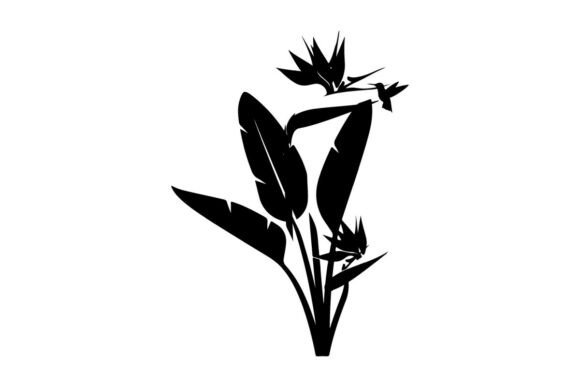 Download Bird of Paradise Flower Silhouette with - Bird of paradise Collection
