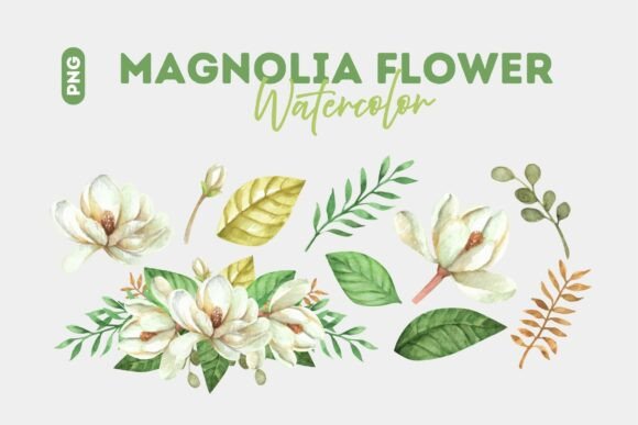 Download Magnolia Floral Watercolor Illustration - Floral watercolor illustration Collection