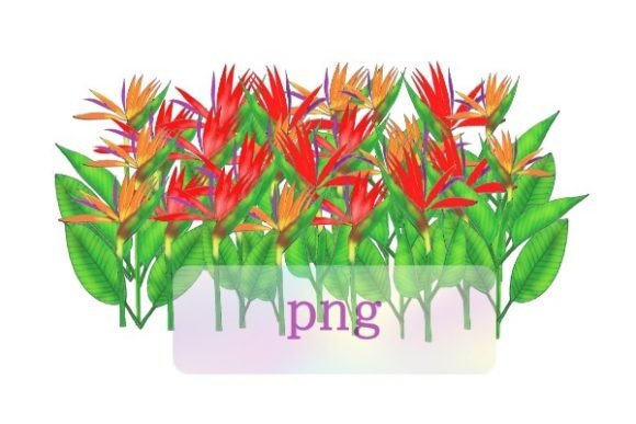 Download Bird of Paradise Flower Png Botanical - Bird of paradise Collection
