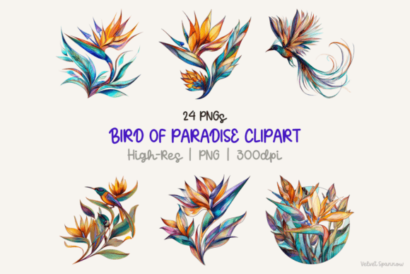 Download Bird of Paradise Clipart - Premium Resources